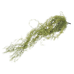 Produktbild von Lucky Reptile Louisiana Moos Kunststoff 50 cm