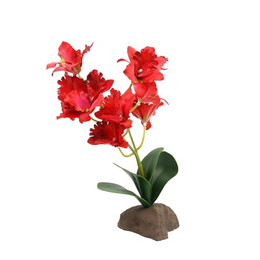 Produktbild von Lucky Reptile Orchidee groß rot 30 cm