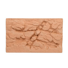 Produktbild von Lucky Reptile Rückwand Rock Background Outback Red