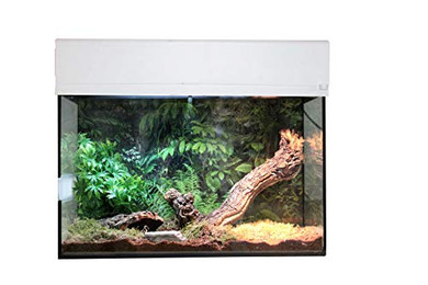 Produktbild von Lucky Reptile Starter Kit Vogelspinne/Skorpion