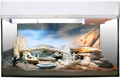 Produktbild von Lucky Reptile Starter Kit Wüstengecko Weiß