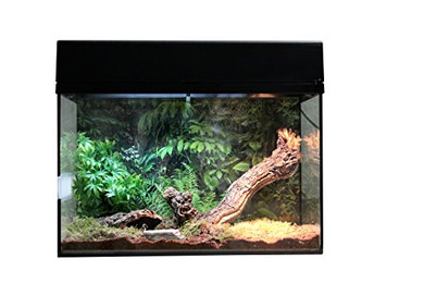 Produktbild von Lucky Reptile Terrarium Starter Kit 50 cm Spinne und Skorpion schwarz