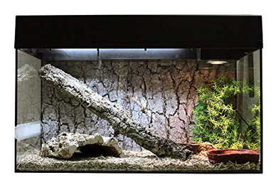 Produktbild von Lucky Reptile Terrarium Starter Kit 80 cm Schlange schwarz