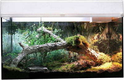 Produktbild von Lucky Reptile Terrarium Starter Kit 80 cm "Schlange" weiß
