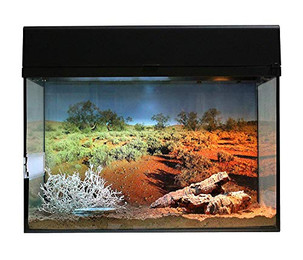 Produktbild von Lucky Reptile Terrarium Starter Kit Wüstengecko 50 cm schwarz