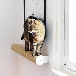 Produktbild von LucyBalu CATWALK Kratzstamm für Katzen zur Wandmontage