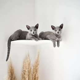 Produktbild von LucyBalu Corner Katzenliege & Kletterstufe für Wandecken