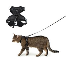 Produktbild von LucyBalu Explorer Katzengeschirr mit Leine Schwarz M/L