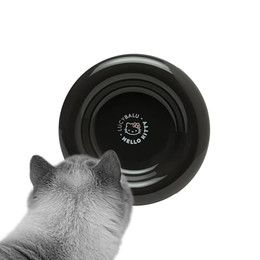 Produktbild von LucyBalu Futternapf DROP Katzennapf aus Porzellan Hello Kitty Edition