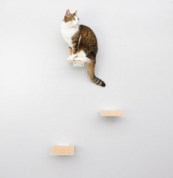Produktbild von LucyBalu Katzen-Kletterwand 3er Set mit Korkauflagen