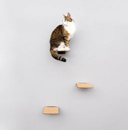 Produktbild von LucyBalu Katzen-Kletterwand Katzentreppe 3er Set