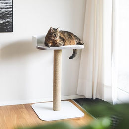 Produktbild von LucyBalu Kratzbaum PLATEAU Katzen Kratz- &