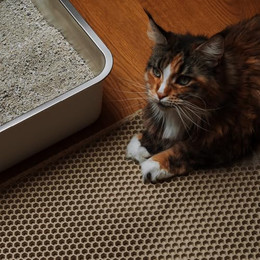Produktbild von LucyBalu LOOMAT Katzenstreu Auffangmatte - 1 Stk.