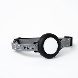 Produktbild von LucyBalu Premium AirTag Katzenhalsband Nylon reflektierend - 1 Stk.