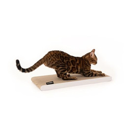 Produktbild von LucyBalu SCRATCHPAPER Katzen Kratzbrett aus Wellpappe