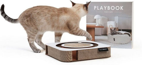 LucyBalu Tier-Beschäftigungsspielzeug PLAYBOOK Interaktives Katzen Spielzeug, Kratzbrett mit Ball, Katzenspielzeug mit Table-Book-Hülle – Bild 1 von 5