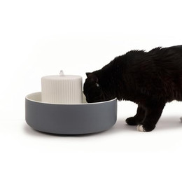 Produktbild von LucyBalu Trinkbrunnen TREVI aus Keramik für Katzen - 2,8 l