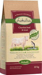 Produktbild von Lukullus Kaltgepresst Rind & Forelle - 2 x 10 kg