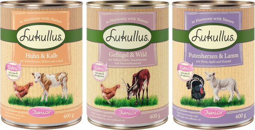 Produktbild von Lukullus Naturkost Junior Mixpaket - 24 x 400 g