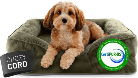 Lumaland Tierbett Hundebett In-& Outdoor S 70x60x18cm grau vakuumiert, Hundesofa orthopädisch Hundekorb Tierbett wasserfest hoher Rand – Bild 1 von 5