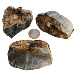 Produktbild von Lunderland Katzensnack Dorsch gesägt - 200 g