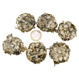 Produktbild von Lunderland Katzensnack Dorschhaut-Taler - 500 g