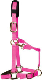 Produktbild von Luxuriöses Nylonhalfter für Pferde KM Elite