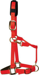 Produktbild von Luxuriöses Nylonhalfter für Pferde KM Elite