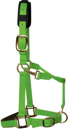 Produktbild von Luxuriöses Nylonhalfter für Pferde KM Elite