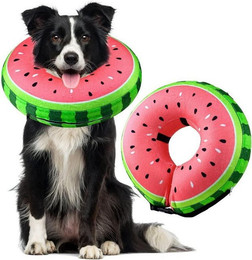 Produktbild von LuxusKollektion Aufblasbare Halskrause Leckschutz für Hund und Katze