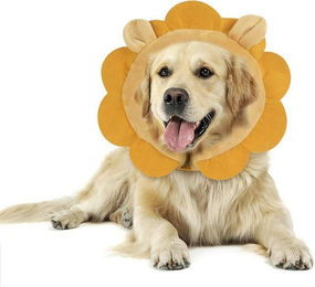 Produktbild von LuxusKollektion Aufblasbare Schutzkragen Halskrause für Hund und Katze