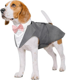 Produktbild von LuxusKollektion Hundefliege Hund Smoking Anzug Bandana Set Grau