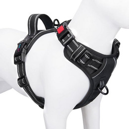 Produktbild von LuxusKollektion Hundegeschirr für kleine Hunde reflektierend verstellbar mit Griff