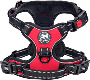 Produktbild von LuxusKollektion Hundegeschirr mit Schutzkragen und reflektierendem Design