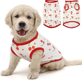 Produktbild von LuxusKollektion Hundepullover Chihuahua XS Kirschenrot