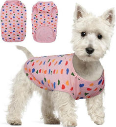 Produktbild von LuxusKollektion Hundepullover für kleine Hunde Rosa Herz