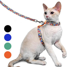 Produktbild von LuxusKollektion Katzen-Halsband Ausbruchsicheres Katzengeschirr mit Leine