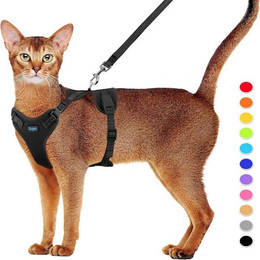 Produktbild von LuxusKollektion Katzen-Halsband Katzengeschirr und Leine Set verstellbar mit Reflexstreifen M