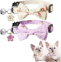 Produktbild von LuxusKollektion Katzen-Halsband Personalisierte 2er Set