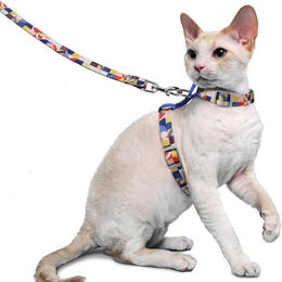 Produktbild von LuxusKollektion Katzen-Halsband und ausbruchsicheres Katzengeschirr mit Leine