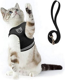 Produktbild von LuxusKollektion Katzen-Halsband und Katzengeschirr ausbruchsicher mit Leine