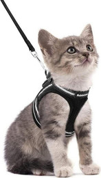 Produktbild von LuxusKollektion Katzen-Halsband und Katzengeschirr mit Leine ausbruchsicher verstellbar Kätzchenweste