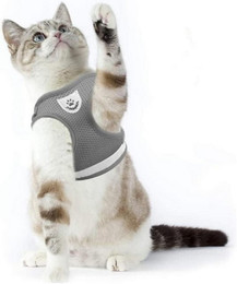 Produktbild von LuxusKollektion Katzen-Halsband und Katzengeschirr mit Leine reflektierend Grau S