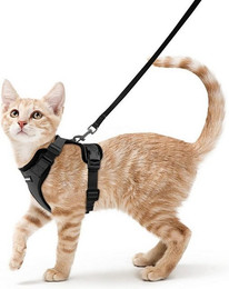 Produktbild von LuxusKollektion Katzen-Halsband und Katzengeschirr mit Leine schwarz verstellbar XS