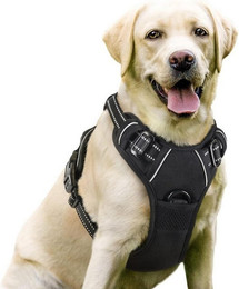 Produktbild von LuxusKollektion No-Pull Hunde-Halsband mit Geschirr und Reflektoren verstellbar schwarz