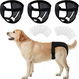 Produktbild von LuxusKollektion Schutzkragen 3er Pack Hundewindeln mit Läufigkeitshose und Damenbinden