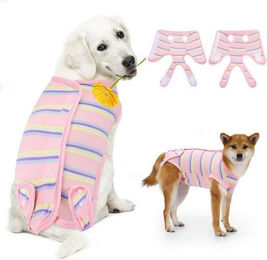 Produktbild von LuxusKollektion Schutzkragen Hunde Katzen Erholungsanzug nach Operation