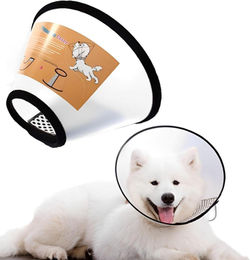 Produktbild von LuxusKollektion Schutzkragen Hundehalsband verstellbar 38-43cm