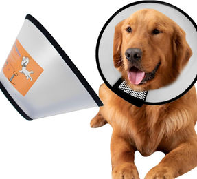 Produktbild von LuxusKollektion Schutzkragen Hundekegel Halsband Verstellbar Anti-Bite Großer Hund