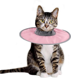 Produktbild von LuxusKollektion Schutzkragen Katzen Genesungshalsband Verstellbar Wasserdicht Rosa